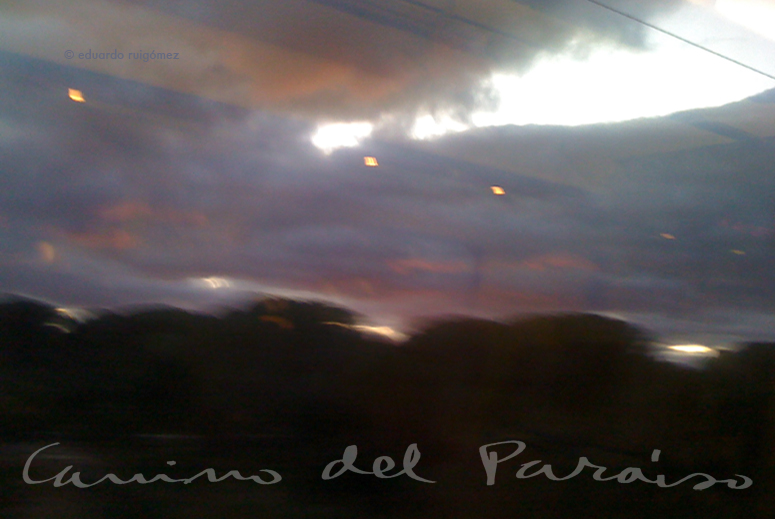 Tren en movimiento.