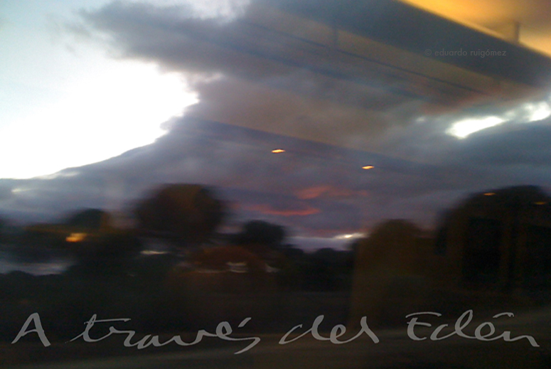 Tren en movimiento.