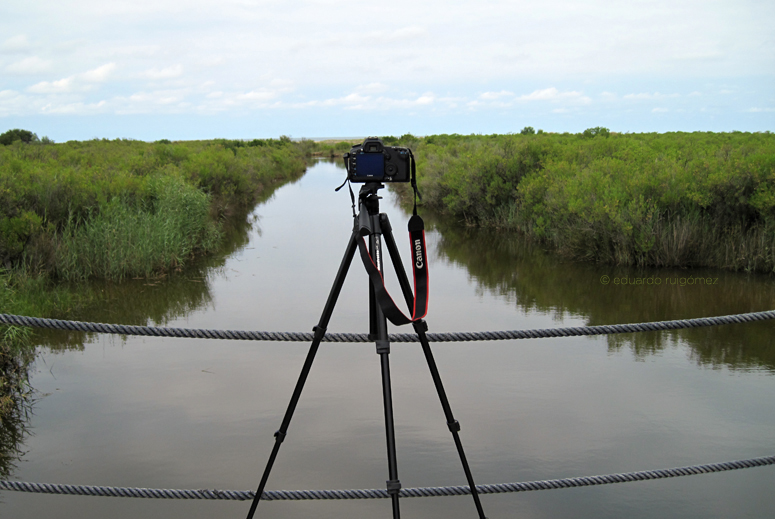 Caudal de agua del río Eresma en movimiento.