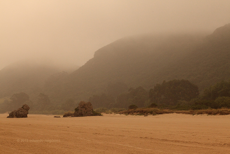 Playa a primera hora del día con nieblas que ciegan el horizonte.
