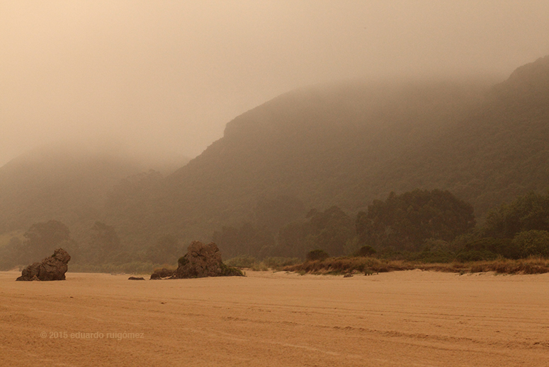 Playa a primera hora del día con nieblas que ciegan el horizonte.