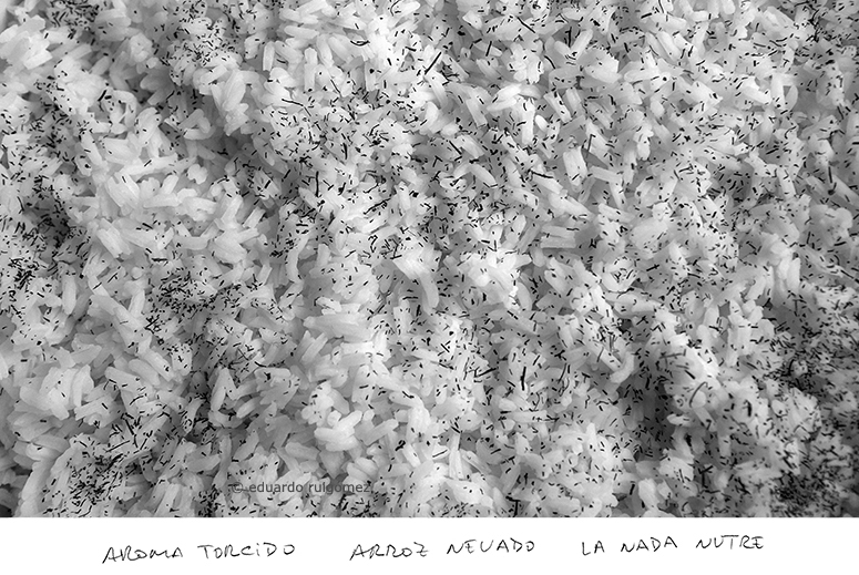 Plato de arroz con tomillo.