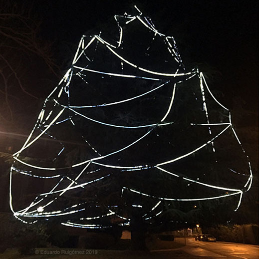 Un árbol de Navidad