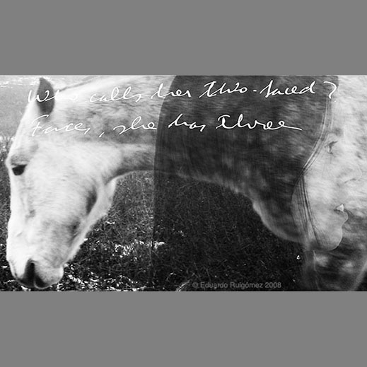 Montaje  de un burro camniando a la izquierda mienras pasa una chica en dirección contraria.