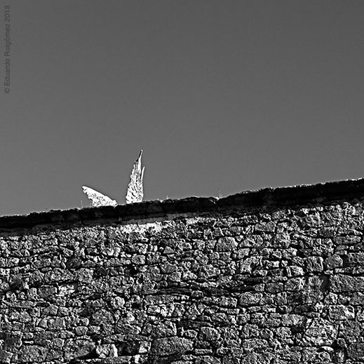 Alas de ángel sobrevolando un cementerio