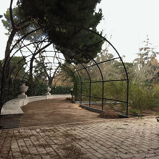 Rosaleda del Parque del Oeste