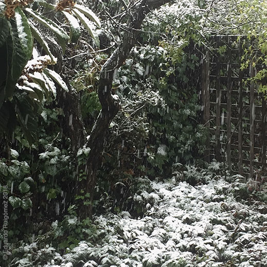 personas en la plaza de un pueblo pensando de aparcaron el coche