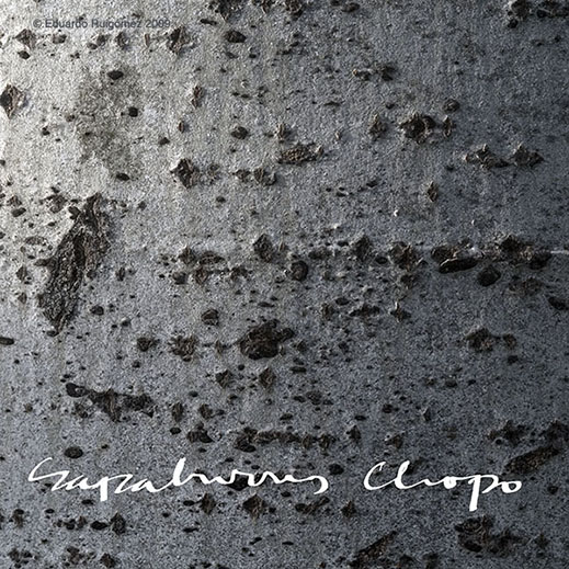 Revuelo de peces en el mar.