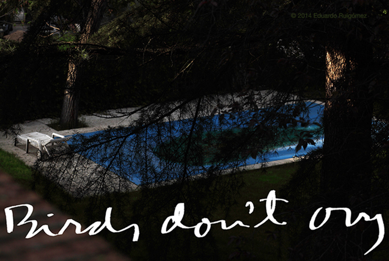 Vista de un jardín desde el punto de vista de un pájaro en un árbol