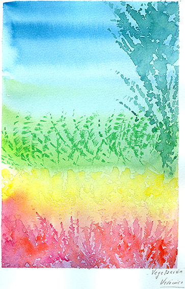 Paisaje campestre con plantas y tierra.