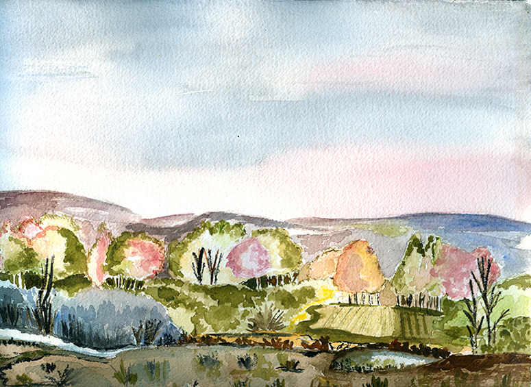 Los colores de la primavera.