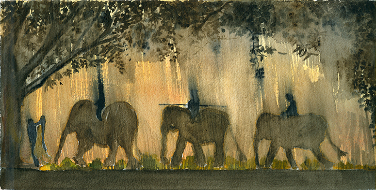 La senda de los elefantes.